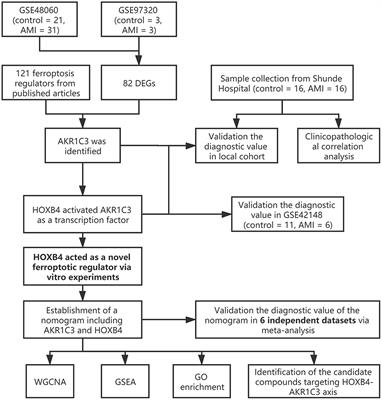 AKR1C3 and Its Transcription Factor HOXB4 Are Promising Diagnostic Biomarkers for Acute Myocardial Infarction